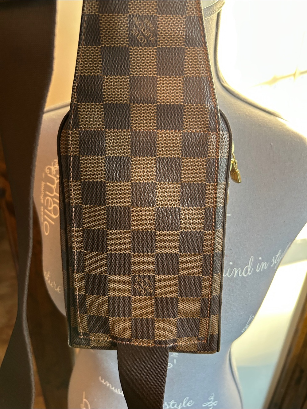 Louis Vuitton Damier Ebene Brown Belt Bag - Picture 6 of 12